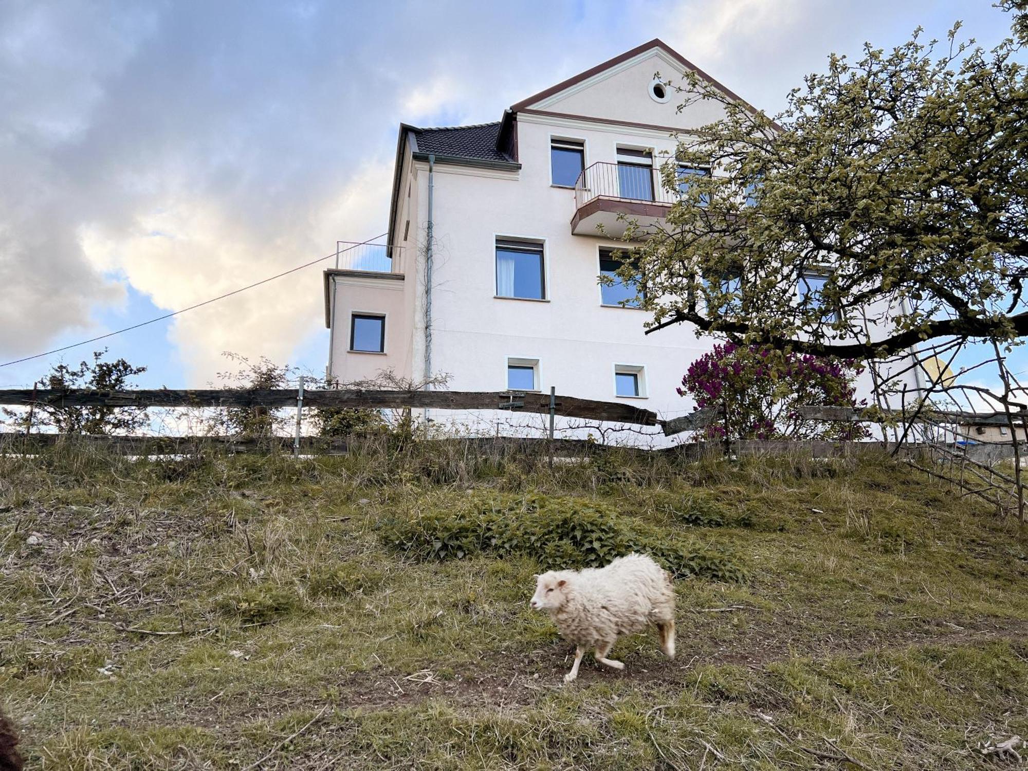 Villa Ueberblick Nalbach Exteriér fotografie